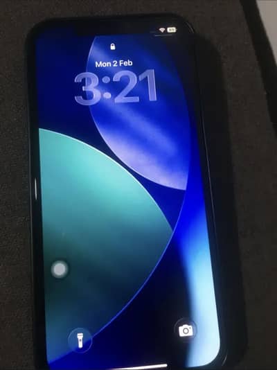 12 pro max pta approved