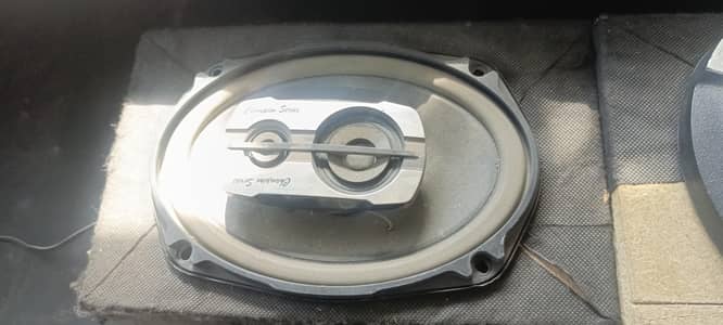 pioneer champion series