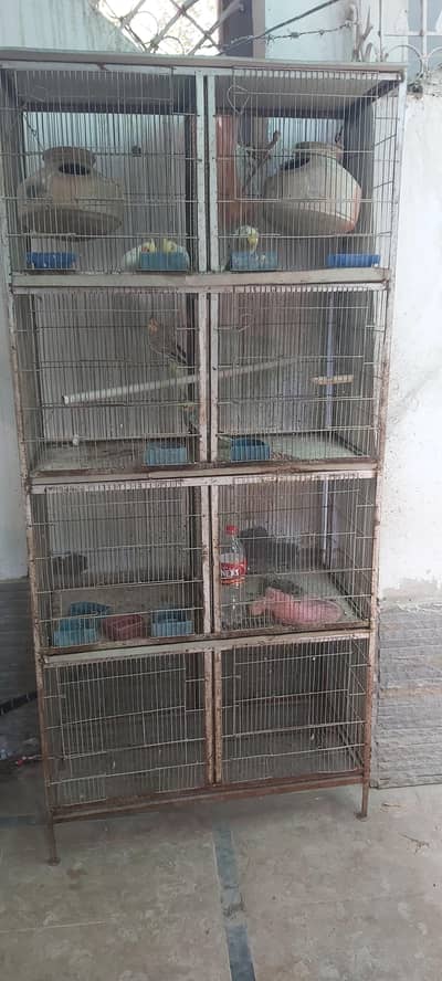 cage for sale