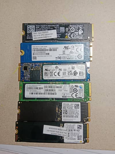 6x High-Performance M. 2 SSDs (256GB) – Samsung, WD, SanDisk