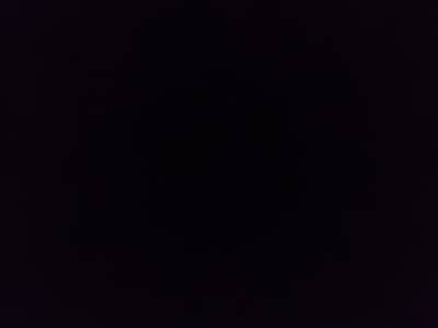 female staff available