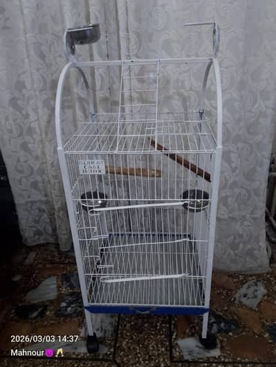 big size parrots cage urgent sell