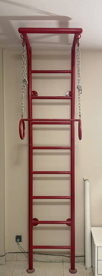 Wall Mounted Pull up Monkey Bar - stainless steel