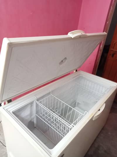 Waves full sized single door deep freezer in excellent condition.