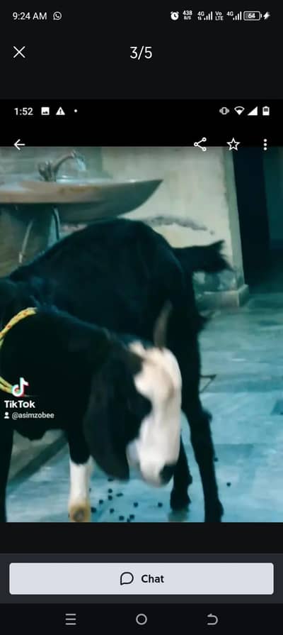 dasi bakri with 1kid