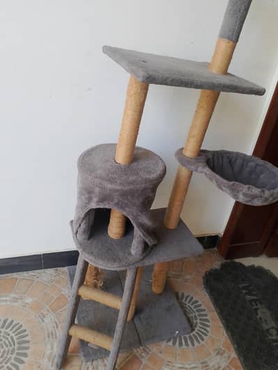  Cat Tree House for Sale 