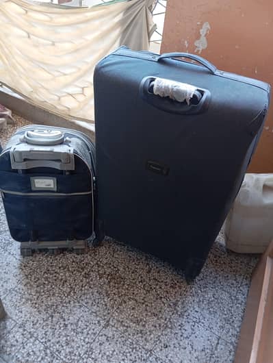 I am selling my 2 bags one small and one large