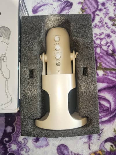 Haomuren professional Microphone