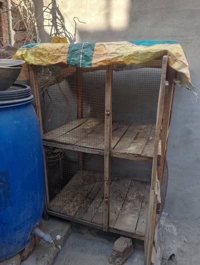 double cage for sale.