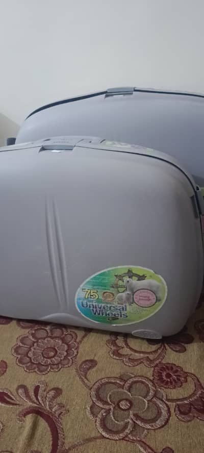 Original Delsay suitcase