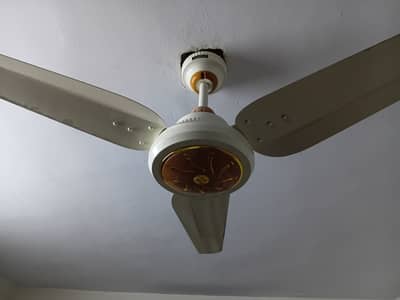 Ceiling fan