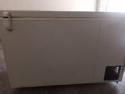 Waves WDF Single Door