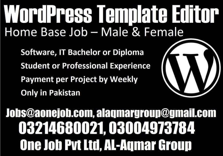 accountant & software WordPress Editors 1