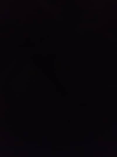 pixel 4 panel and housing