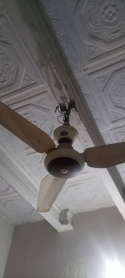 Celling fan