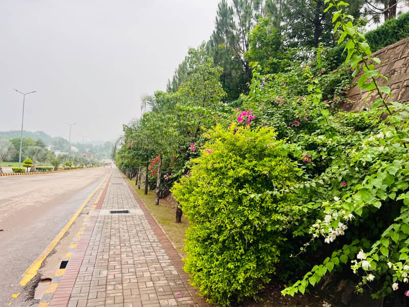 B Block 10 Marla Plot 19