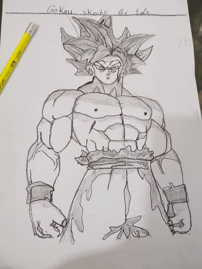 scetch pencil drawing