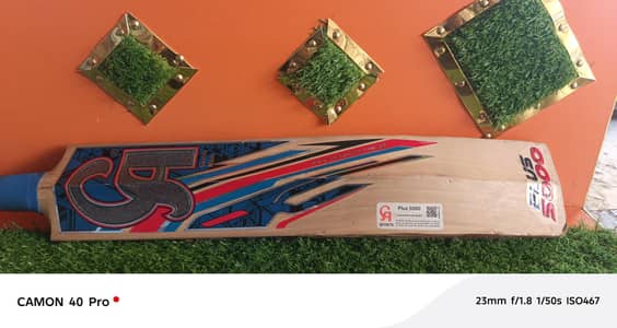 hard Ball Cricket Bat / English Willow Bat CA -5000 plus