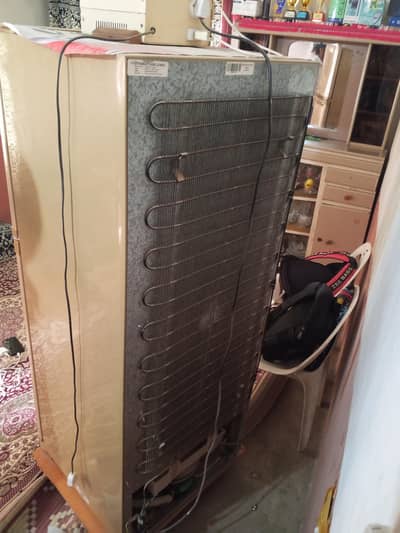 double door,  good looking , new model