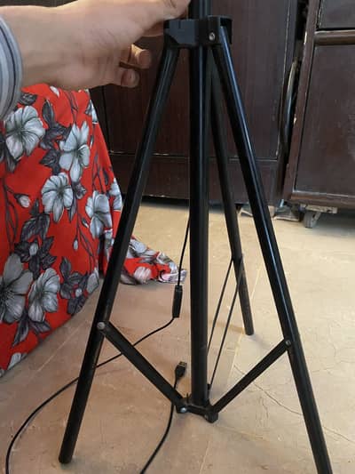 Ringlight 10/10 price 900