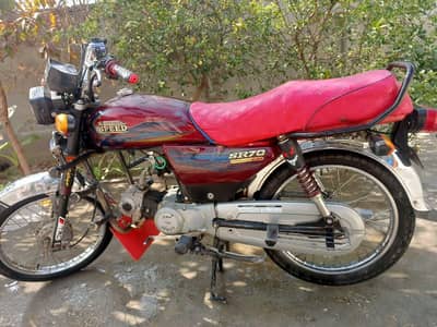 03355303590  what's app