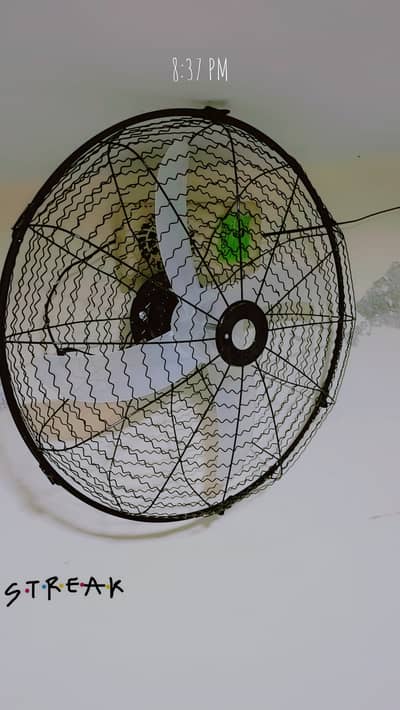 12 Volt Fan 2 Piece