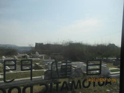 Mario imported remote car