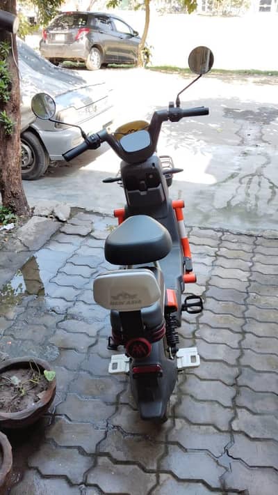 New Asia  Scooty | Scooty