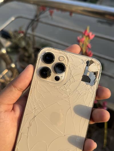 Iphone 12 Pro Max 256 GB 03144380823