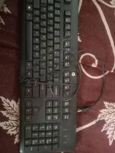 branded HP wired keyboard