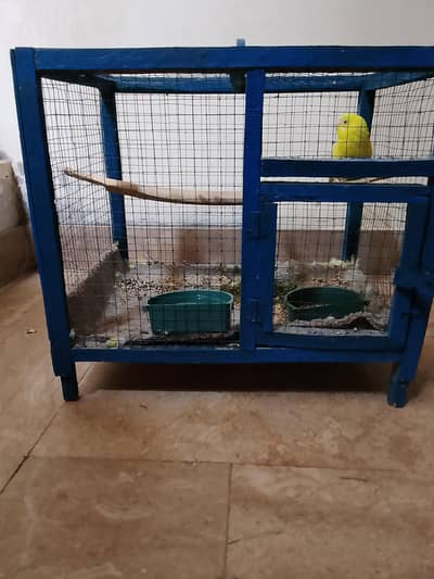 king size green budgie