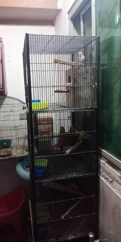 bird cage. with trays