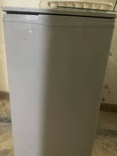 Room size mini fridge