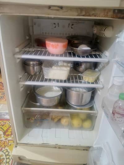 Pel fridge cheld cooling