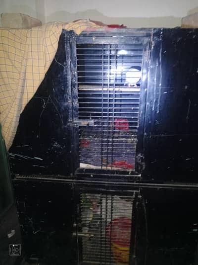 penjra 5fut labai  choare 4fut