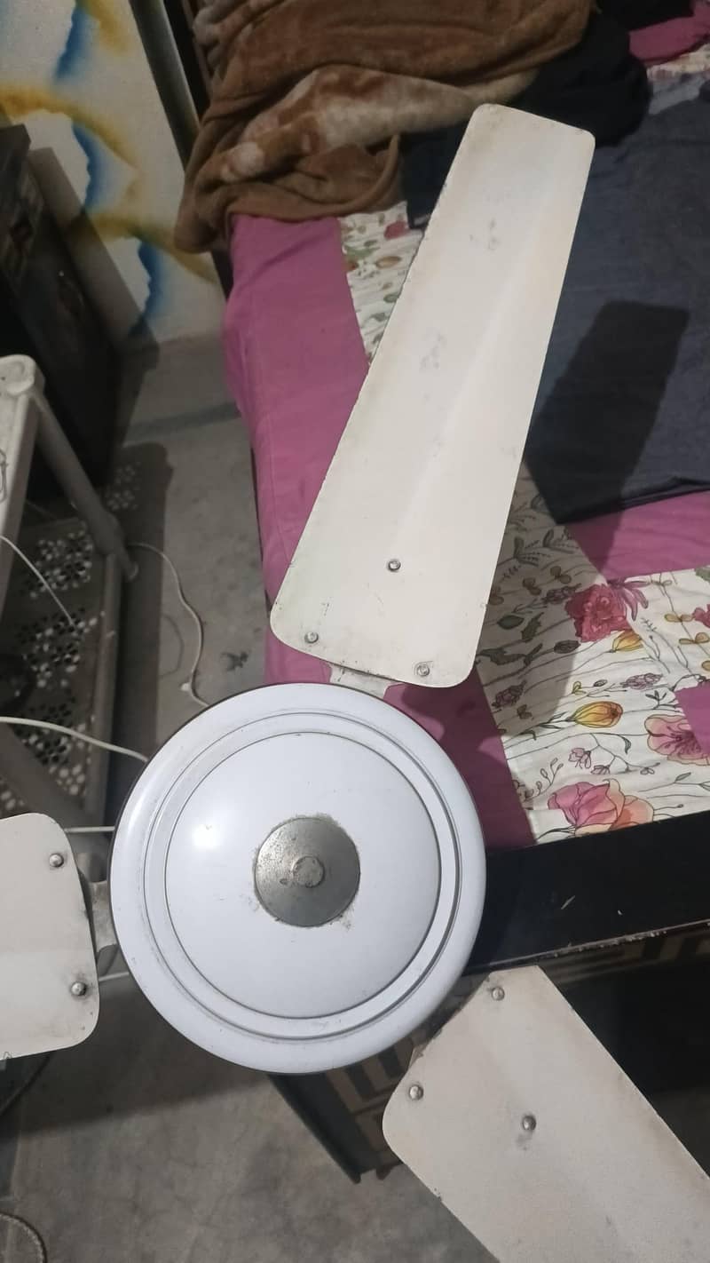 چھت والا پنکھا فل سائز کاپر وینڈنگ فار سیل 2