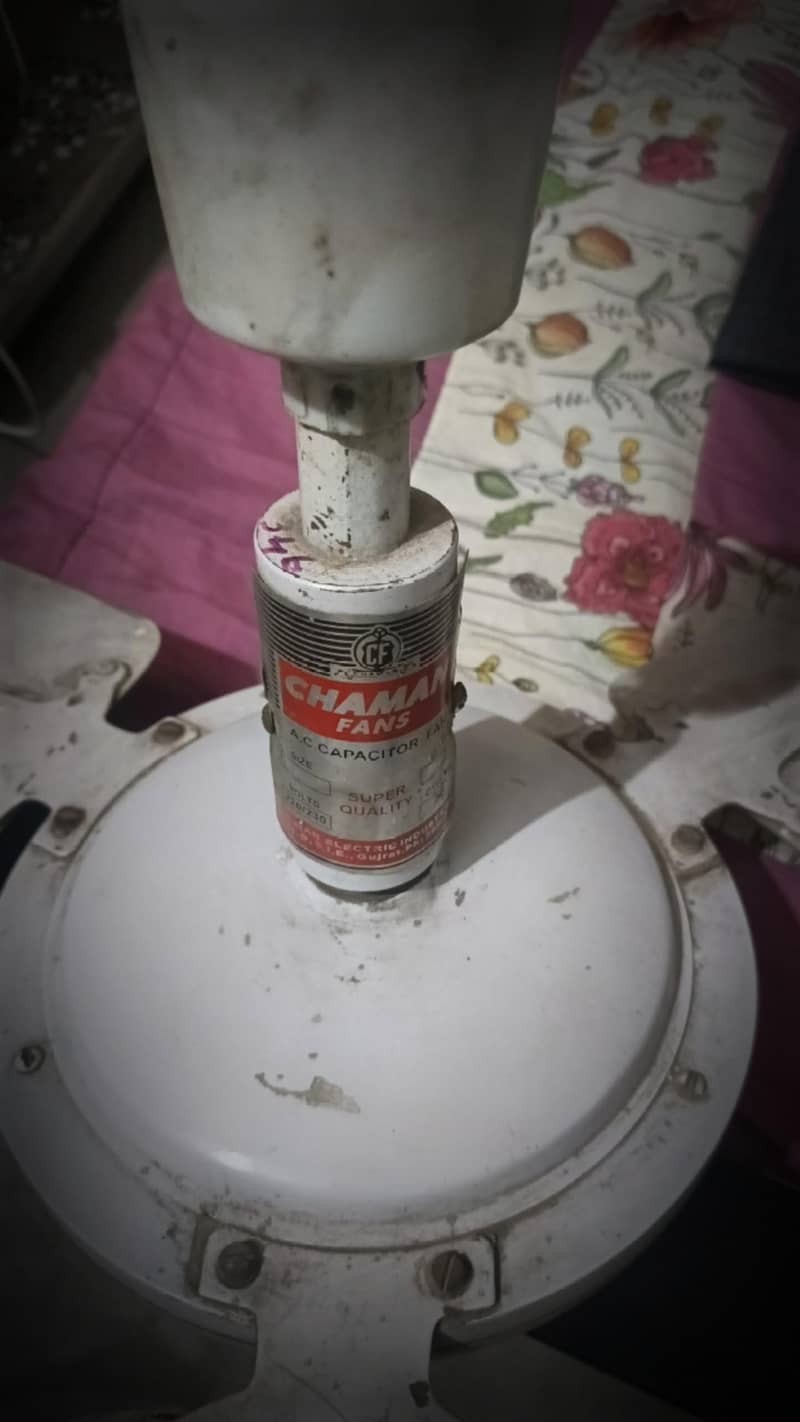 چھت والا پنکھا فل سائز کاپر وینڈنگ فار سیل 3