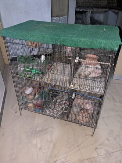 steel and wood cage good condition and albino parrot