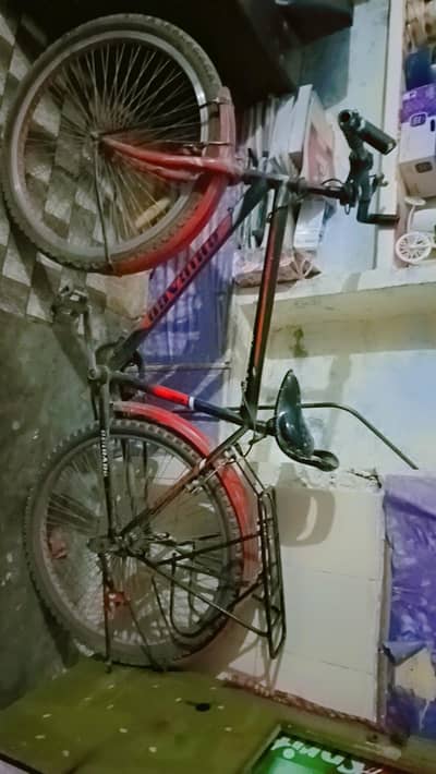 Bicycle  without gears