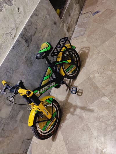 12 Spring Bicycle Original China made