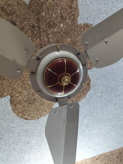 silling fan nice company