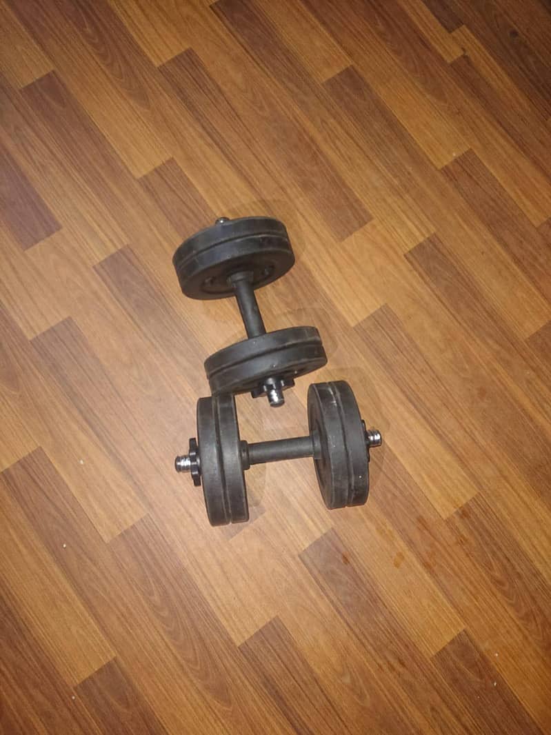 customize Dumbbles + Bicep setup 1