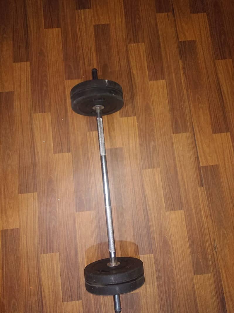 customize Dumbbles + Bicep setup 2