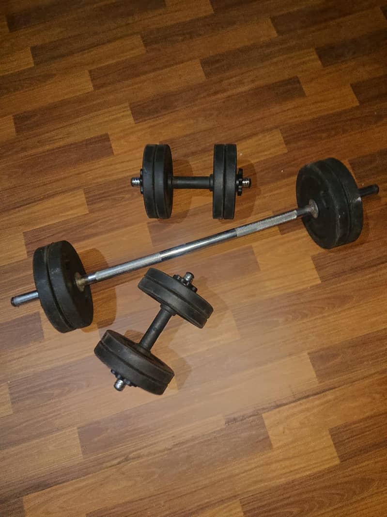 customize Dumbbles + Bicep setup 3
