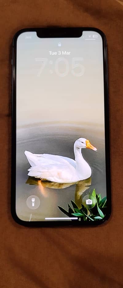 Apple iPhone 12 PTA Approved