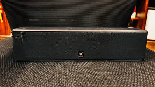 Powerful center speakers