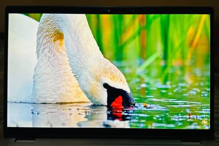 Dell Latitude 7410 | Core i7 10th Gen | 16GB RAM | Touch & 360° | SSD