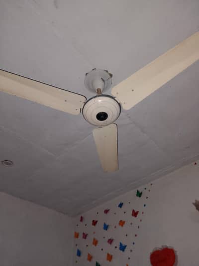 ceiling fan