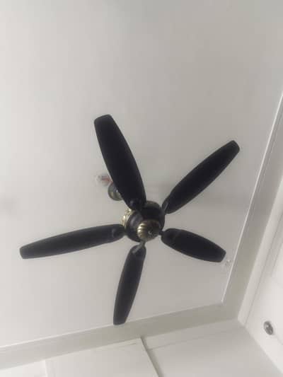 GFC fan almost new condition