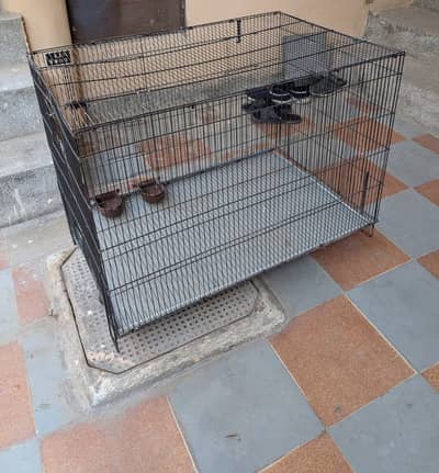 Cage for Birds